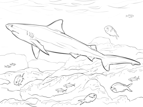 Realistic Bull Shark Coloring Page